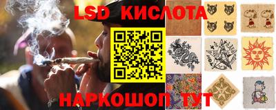 индика Кунгур
