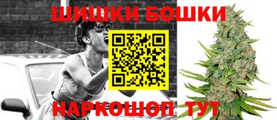 индика Кунгур