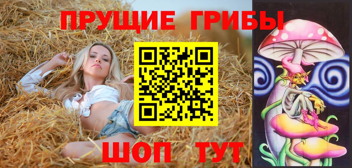 Галлюциногенные грибы Psilocybine cubensis Вольск