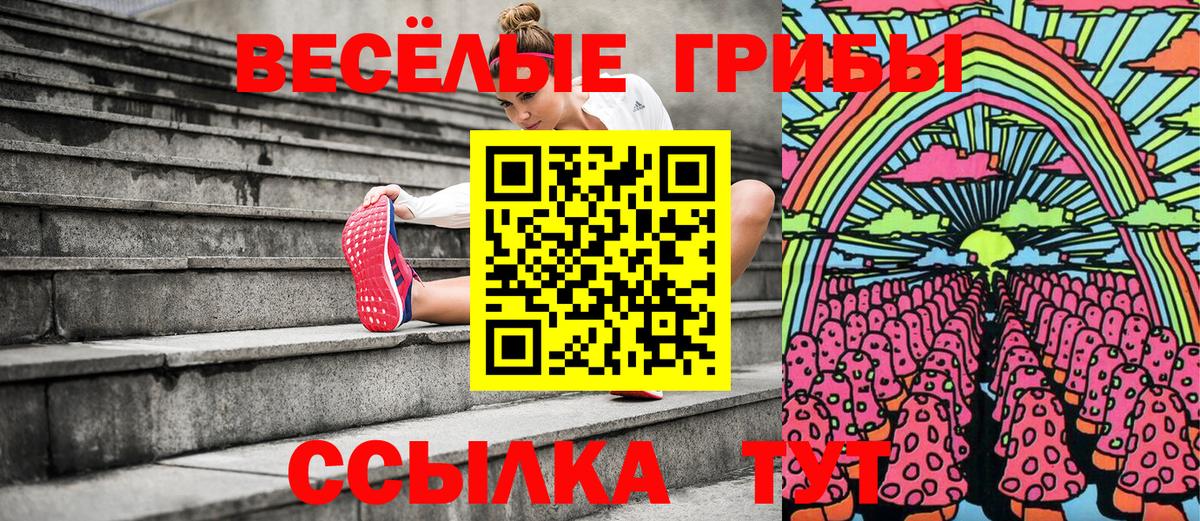 Псилоцибиновые грибы мухоморы  Псилоцибиновые грибы MAGIC MUSHROOMS  Вход с VPN  Вольск 